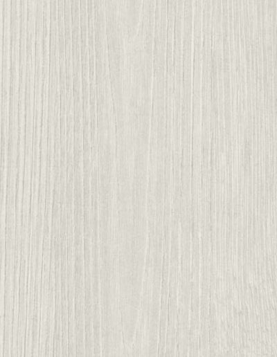 38 Frozen Wood White *